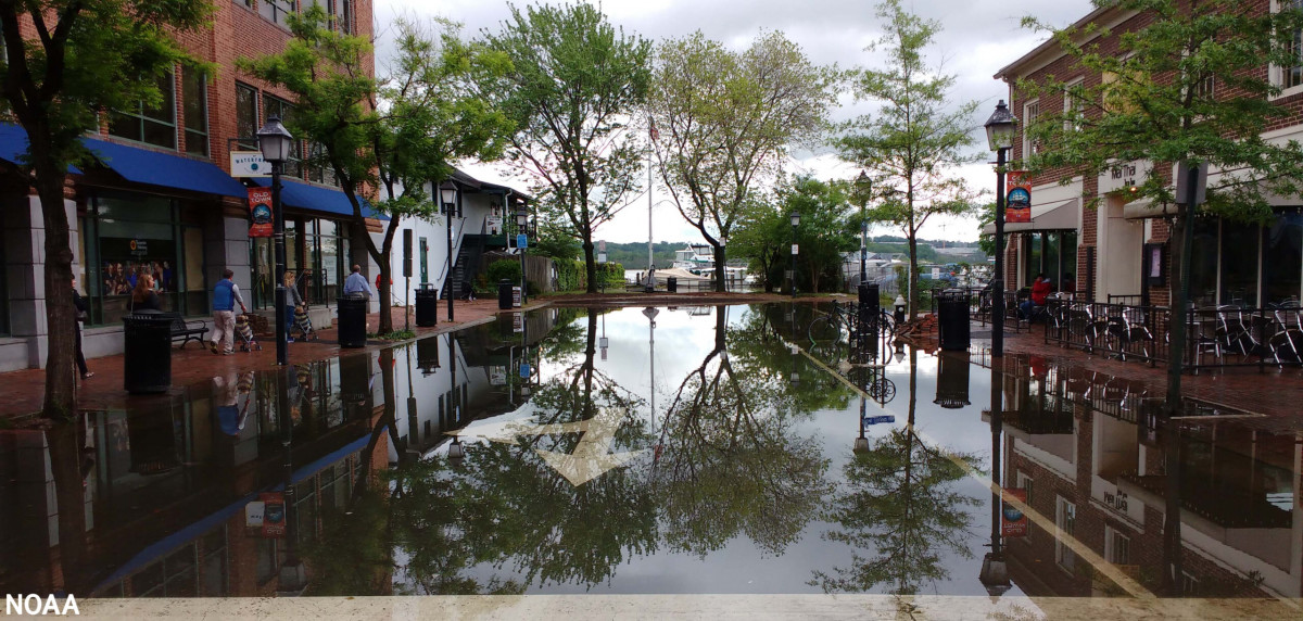 Main Story Image